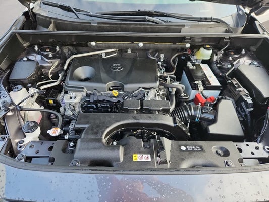 2019 Toyota RAV4 XLE Premium in Owensboro, KY - Moore Automotive Team